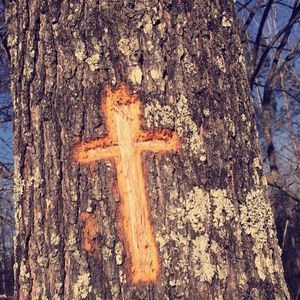 Meet your Posher, Sherry